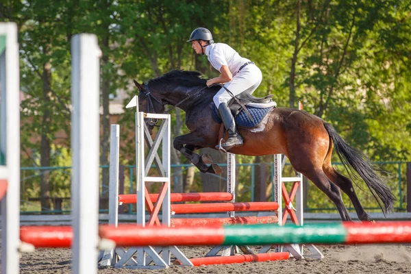 Jovem Desportista Equitação Cavalo Delimitando Obstáculo Competição Showjumping — Fotografia de Stock