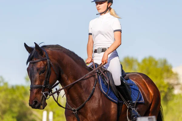 Jovem Cavaleiro Mulher Equitação Baía Cavalo Aquecimento Até Antes Showjumping — Fotografia de Stock