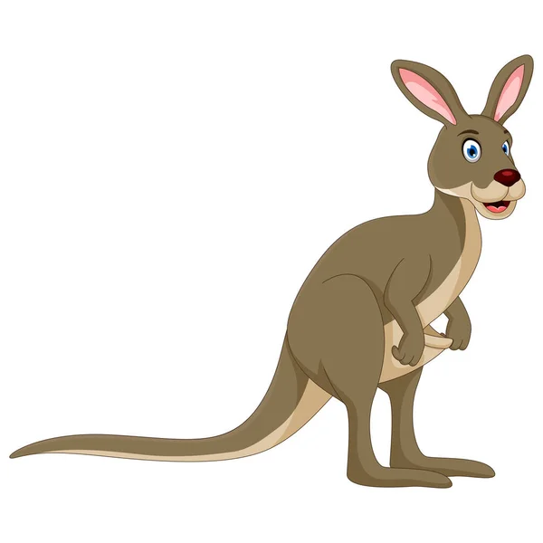 Illustration Kangaroo Cartoon Concept — Stock Vector