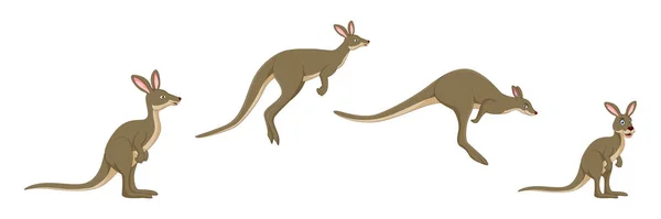 Illustration Des Känguru Cartoon Konzepts — Stockvektor