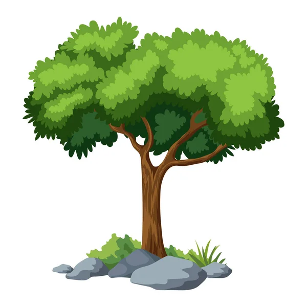 Ilustração Vetor Árvore Com Fundo Branco — Vetor de Stock