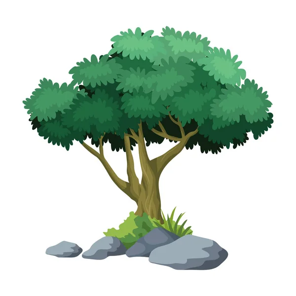 Illustration Tree Vector White Background — Stock Vector