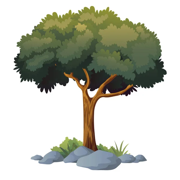 Ilustrace Vektoru Stromu Bílým Pozadím — Stockový vektor