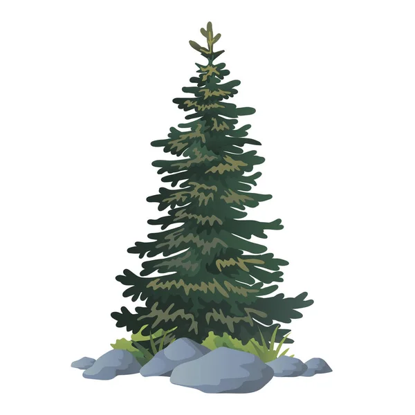 Illustration Pinetree Vector White Background — Stock Vector