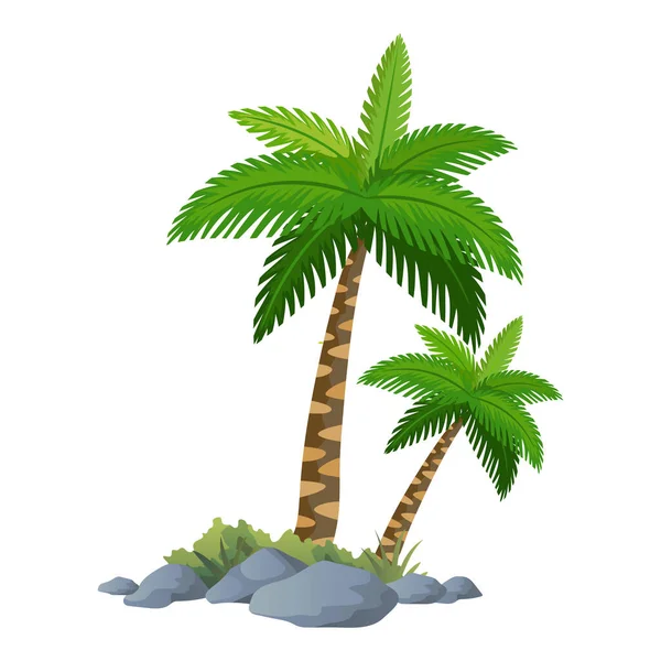 Illustration Palm Träd Vektor Med Vit Bakgrund — Stock vektor