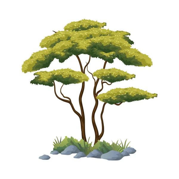 Ilustração Vetor Árvore Africana Com Fundo Branco — Vetor de Stock