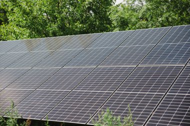 solar panels in front yard, free energy factory, offgid