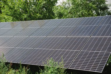 solar panels in front yard, free energy factory, offgid