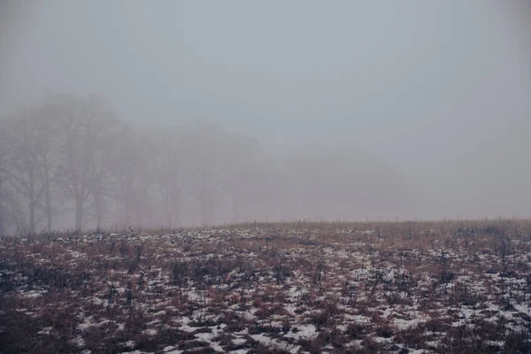 Estrada Campo Inverno Nevoeiro Árvores Distância — Fotografia de Stock