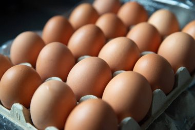 Kağıt tepside taze tavuk yumurtası, kartonda yumurta.