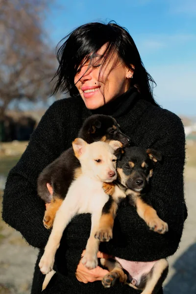 소녀는 집없는 강아지들을 여성은 봉사자입니다 그녀는 강아지들을 돌보고 가족들에게 강아지들을 — 스톡 사진