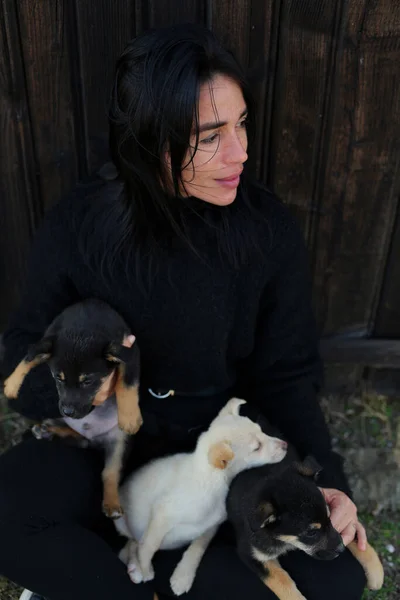 소녀는 집없는 강아지들을 있습니다 여성은 봉사자이고 그녀는 강아지들을 그들을 돌보고 — 스톡 사진