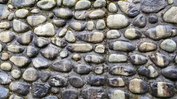 stock image Stone wall built from natural stone washed by last rain