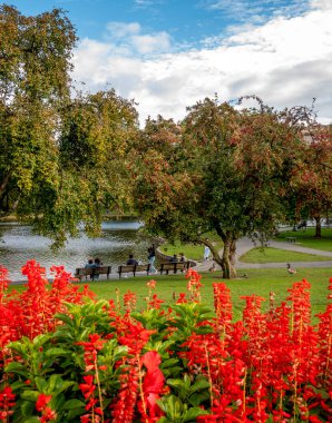 Boston, Massachusetts, ABD 'de Boston Halk Bahçesi ve Boston Commons' un mimarisini görüyoruz. Bahçeleri ve bir sürü yerli ve turist eğleniyor..