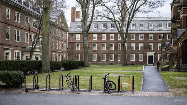 Harvard Üniversitesi ve Cambridge 'deki ünlü kampüsü, MA, ABD.