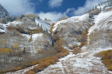 Orta Colorado 'nun Beyaz Nehir Ulusal Ormanı' ndaki Maroon Bells-Snowmass Wilderness Alanındaki görkemli alp manzarasına panoramik bir bakış açısı. 