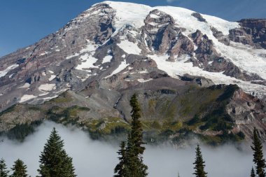 Rainier Dağı Ulusal Parkı 'ndaki Cennet Ziyaretçi Merkezi' nin yakınlarındaki görkemli Rainier Dağı 'nın zirvesinde yaz mevsimi..