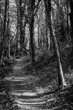 Barosa Nehri 'nin üst kısmı olan Barro, Pontevedra' da (İspanya) bulunan etnografik ve doğal bir kompleks.)