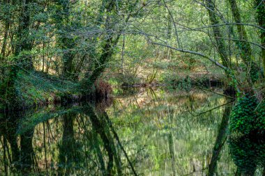 Barosa Nehri 'nin üst kısmı olan Barro, Pontevedra' da (İspanya) bulunan etnografik ve doğal bir kompleks.)