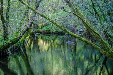 Barosa Nehri 'nin üst kısmı olan Barro, Pontevedra' da (İspanya) bulunan etnografik ve doğal bir kompleks.)