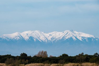 Pireneler 'in manzarası, Fransa' daki Les Barcare plajı yakınlarındaki Agly Nehri 'nden..