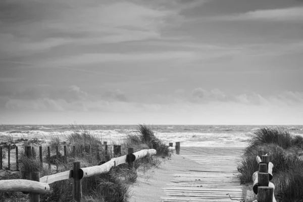 Schwarz Weiß Foto Eines Holzstegs Einem Strand Frankreich — Stockfoto
