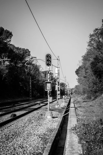 スペインの信号や交通信号のある鉄道線の白黒写真 — ストック写真