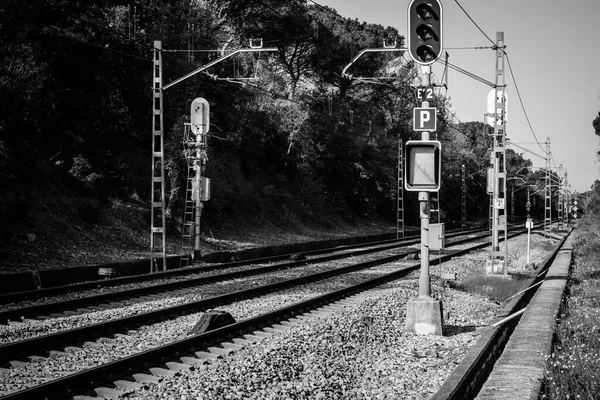 Spanya Trafik Işıkları Sinyalleri Olan Bir Demiryolu Hattının Siyah Beyaz — Stok fotoğraf