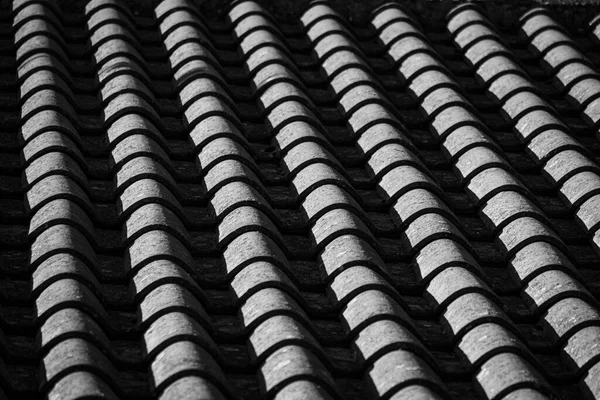 Czarno Biała Fotografia Dachu Domu Miejscowości Espinelves Katalonii Hiszpania — Zdjęcie stockowe