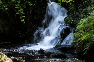 Galiçya 'nın Pontevedra kenti yakınlarındaki Poio köyünde (İspanya) bol suyu olan küçük bir şelale.).