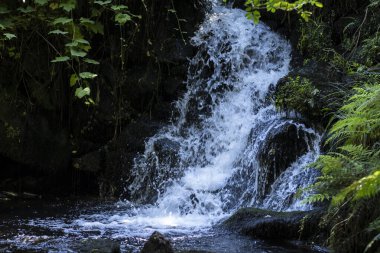 Galiçya 'nın Pontevedra kenti yakınlarındaki Poio köyünde (İspanya) bol suyu olan küçük bir şelale.).