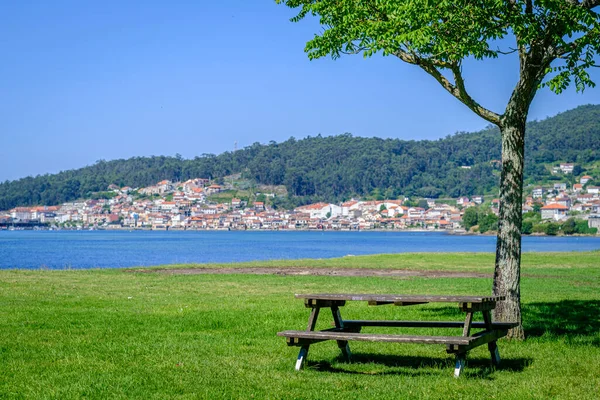 Park Padokkal Poio Faluban Pontevedra Város Közelében Galíciában Spanyolország Combarro — Stock Fotó