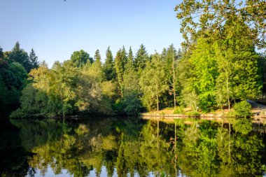 İspanya 'nın Pontevedra kentindeki Vilaboa ve Marin belediyeleri arasında yer alan Castineiras Gölü' nün ayrıntıları. Yapay kökenlidir (1950 yılında yaratılmıştır) ve flora ve faun zenginliği için dikkate değer gerçek bir doğal cennet oluşturur.