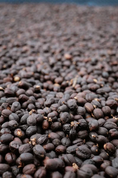 Dry black coffee seeds, Coffee Processing ,Natural Dry Process ,Pulped-natural, Semi-dry Process.