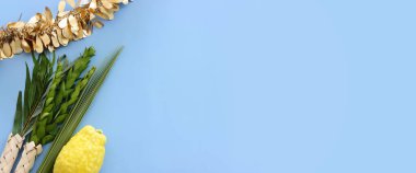 Sukkot Yahudi Festivali. Geleneksel semboller (dört tür): Etrog (citron), lulav (palmiye dalı), hadas (mersin ağacı), arava (söğüt ağacı))