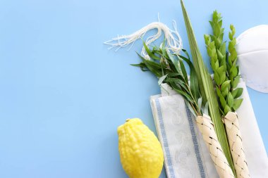 Sukkot Yahudi Festivali. Geleneksel semboller (dört tür): Etrog (citron), lulav (palmiye dalı), hadas (mersin ağacı), arava (söğüt ağacı))