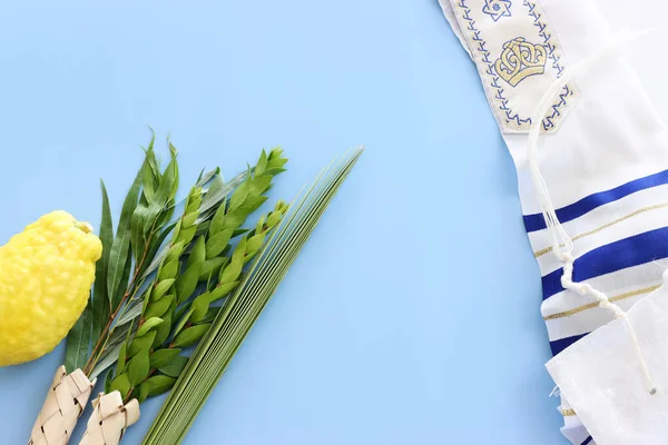 Єврейський Фестиваль Суккоту Традиційні Символи Чотири Види Etrog Цитрон Lulav — стокове фото