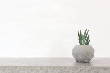 Beyaz arkaplan üzerinde küçük bitki içeren boş tablo