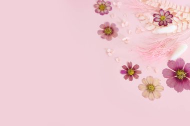 Top view image of pink dry flowers over pastel background .Flat lay