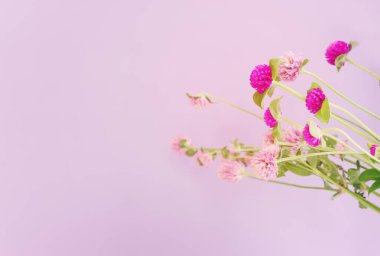 Top view image of pink and purple flowers composition over pastel background