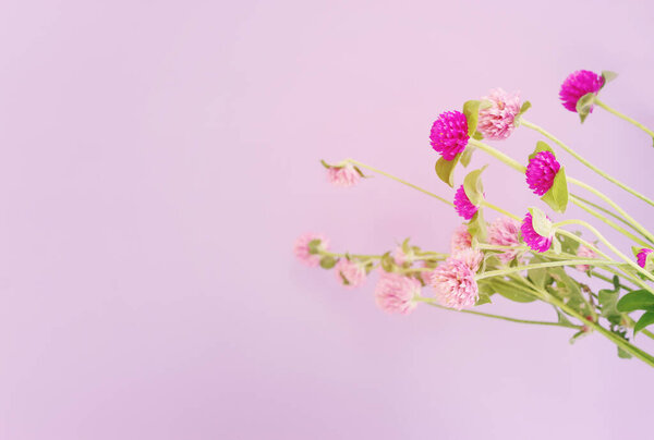 Top view image of pink and purple flowers composition over pastel background