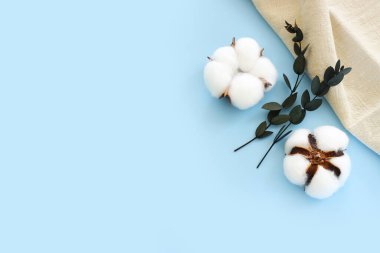 Mavi arka planda güzel pamuk çiçeklerinin yaratıcı görüntüsü.