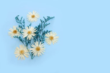 Top view image of white and blue dry flowers over pastel background .Flat lay