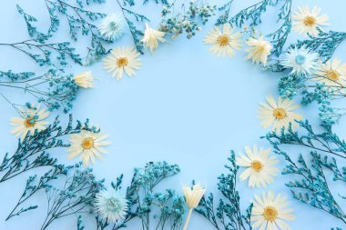 Top view image of white and blue dry flowers over pastel background .Flat lay