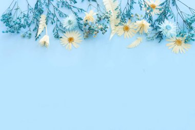 Top view image of white and blue dry flowers over pastel background .Flat lay