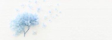 Top view image of blue Hydrangea flowers over white wooden background .Flat lay