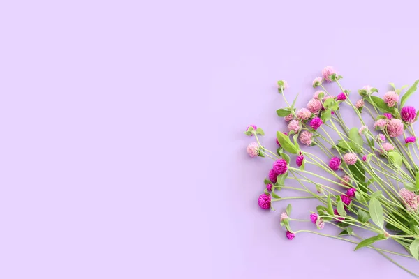Изображение Розового Фиолетового Цветов Фоне Пастели — стоковое фото