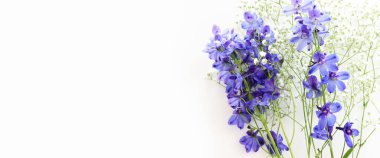 Beyaz izole arkaplan üzerinde menekşe desenli çiçek bileşiminin üst görünümü