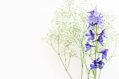 Beyaz izole arkaplan üzerinde menekşe desenli çiçek bileşiminin üst görünümü