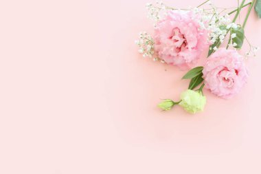 Hassas lisianthus çiçeklerinin üst görünüm kompozisyonu Pastel pembe arkaplan üzerinde